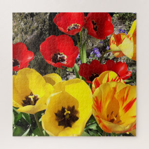 Yellow & Red Tulips Jigsaw Puzzle