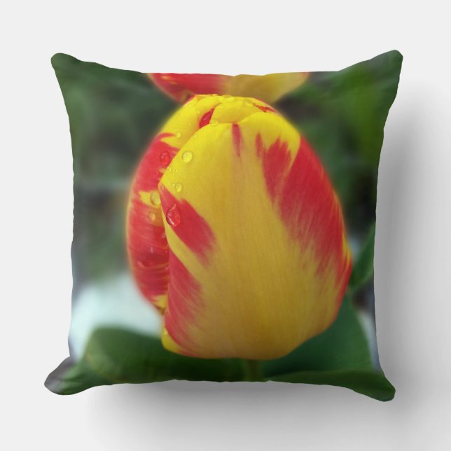 yellow red tulips throw pillow (Front)