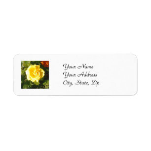 Yellow Rose