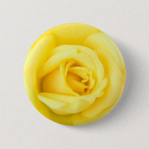 Yellow rose 2 inch round button