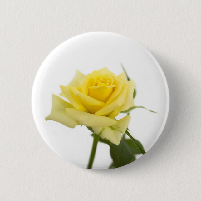 Yellow rose 2 inch round button (Front)
