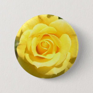Yellow Rose 2 Inch Round Button
