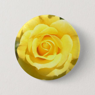 Yellow Rose 2 Inch Round Button