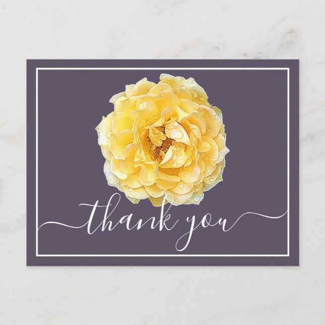Yellow Rose And Dew Drops Mauve Backdrop Thank You Postcard (Front)