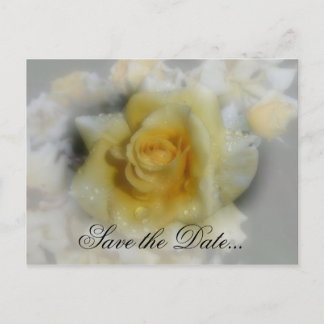 Yellow Rose Announcement Postcard
