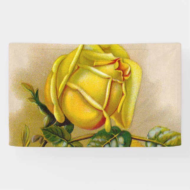 Yellow Rose Antique Vintage Print Fine Art Banner (Horizontal)