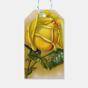 Yellow Rose Antique Vintage Print Fine Art Gift Tags