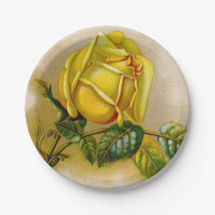 Yellow Rose Antique Vintage Print Fine Art Paper Plate