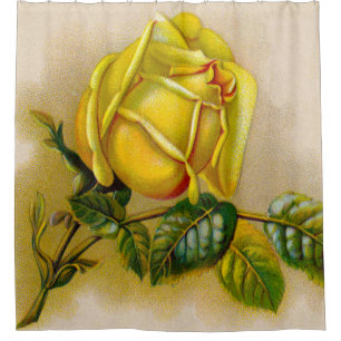 Yellow Rose Artwork Print Fine Art