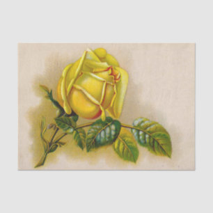Yellow Rose Artwork Print Fine Art Tissue Paper