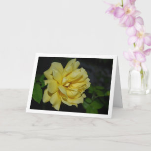 Yellow Rose at Night Portrait Card