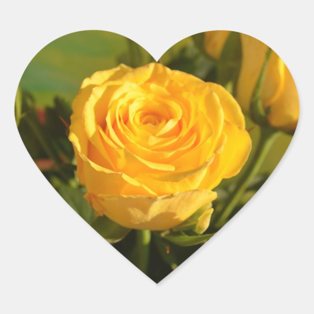 Yellow Rose Beauty Photography    Heart Sticker (Front)