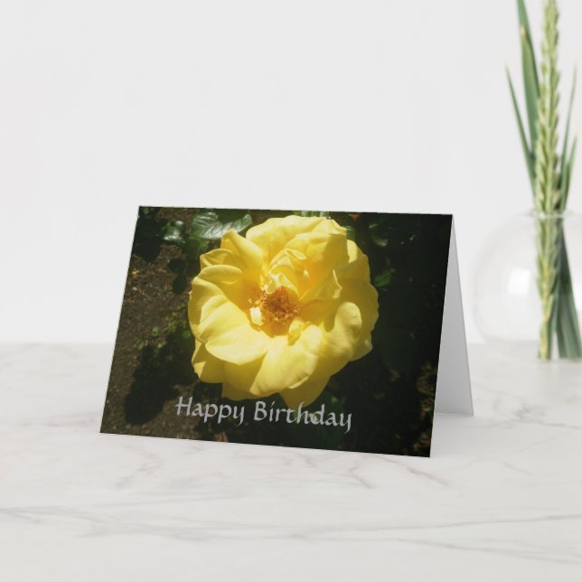 Yellow Rose Birthday Card (Front)
