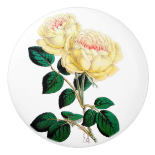 Yellow Rose Bloom Ceramic Knob
