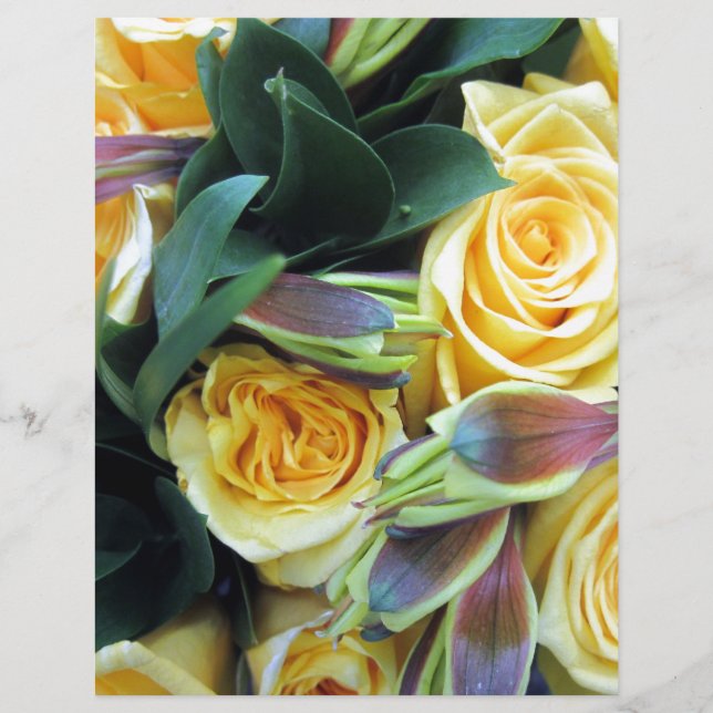 Yellow Rose Buds (Front)