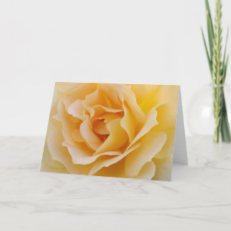 Yellow Rose Card