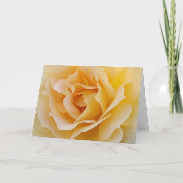 Yellow Rose Card (Front)