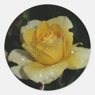 Yellow Rose Classic Round Sticker