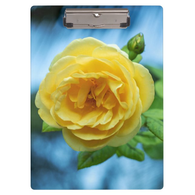 Yellow rose clipboard (Front)