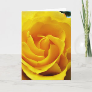 Yellow Rose Close Up Scripture Card Psalm 31:24