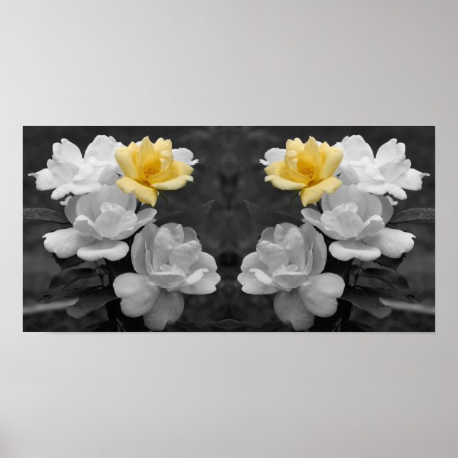 Yellow Rose Cluster Partial Colour Mirror Abstract Poster (Front)