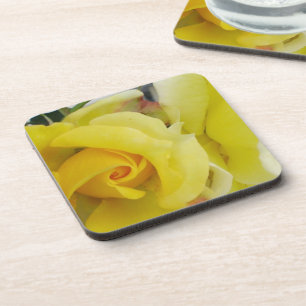 Yellow Rose Coasters