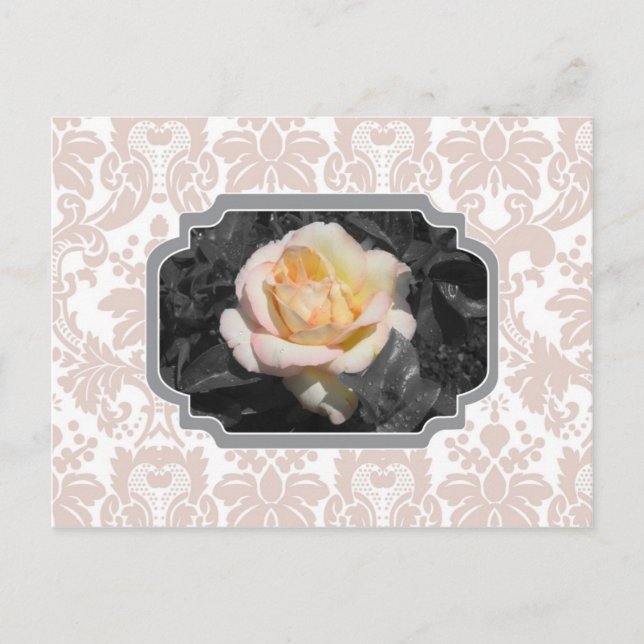 Yellow Rose Damask Notecard Postcard (Front)