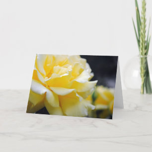 Yellow Rose Floral 5 Card