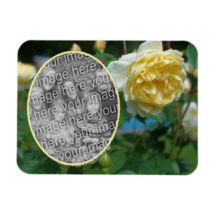Yellow Rose Flower Frame Create Your Own Photo Magnet