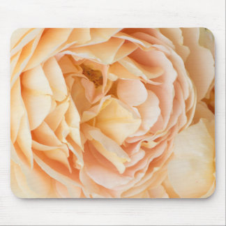 Yellow rose flower mouse pad