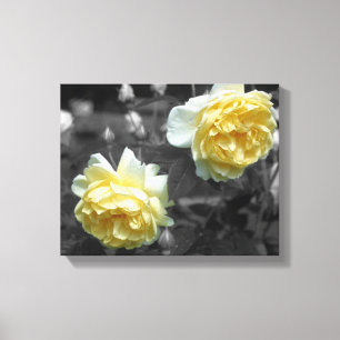 Yellow Rose Flowers Partial Colour Canvas Print