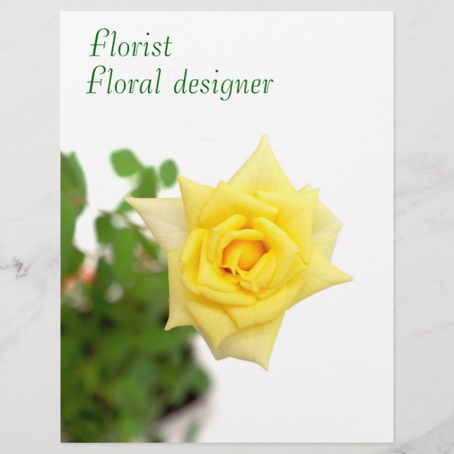 Yellow rose flyer (Front)