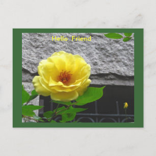 YELLOW ROSE FRIENDSHIP POSTCARD