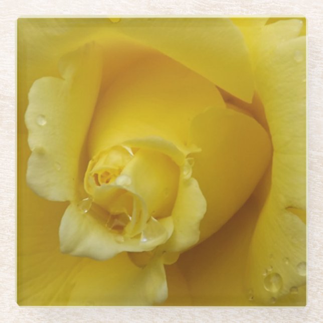 Yellow Rose Glass Coaster (Front)