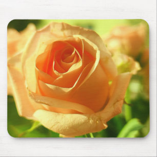 Yellow Rose in Full Bloom Mouse Pad