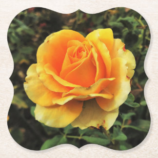 Yellow Rose in Nature Paper Coaster