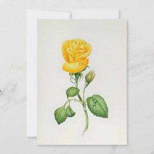 Yellow Rose In Watercolors Holiday Card