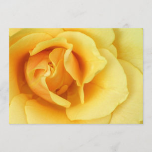 Yellow Rose Invitation