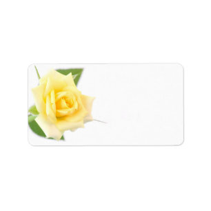 Yellow rose label