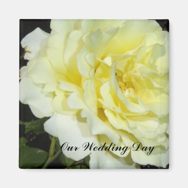 Yellow Rose Magnet (Front)