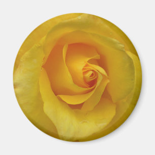 Yellow Rose Magnet Flower Gifts Keepsake Decor