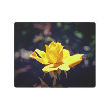 Yellow Rose Metal Art