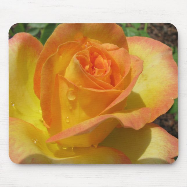 Yellow Rose Mouse Pad (Front)