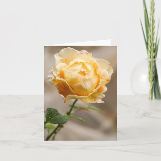 Yellow Rose Note Card (Front)