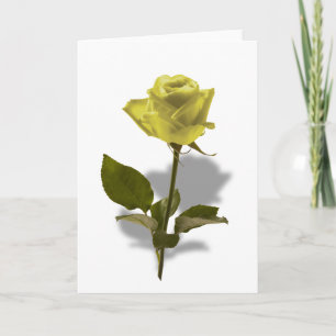 Yellow Rose of Friendship Card