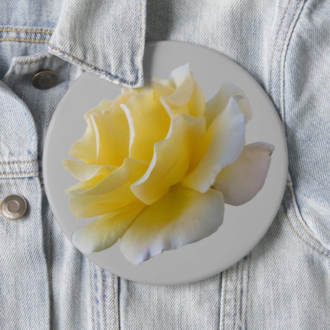 Yellow rose petals 6 inch round button (In Situ)