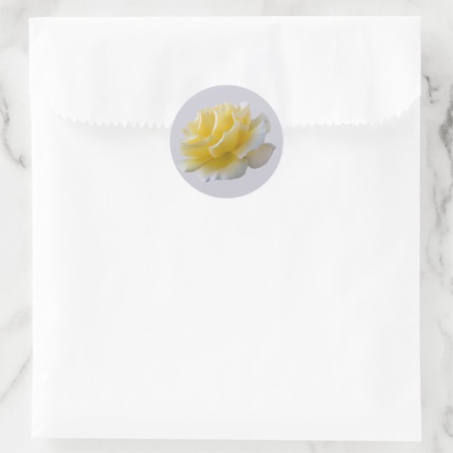 Yellow rose petals classic round sticker (Bag)