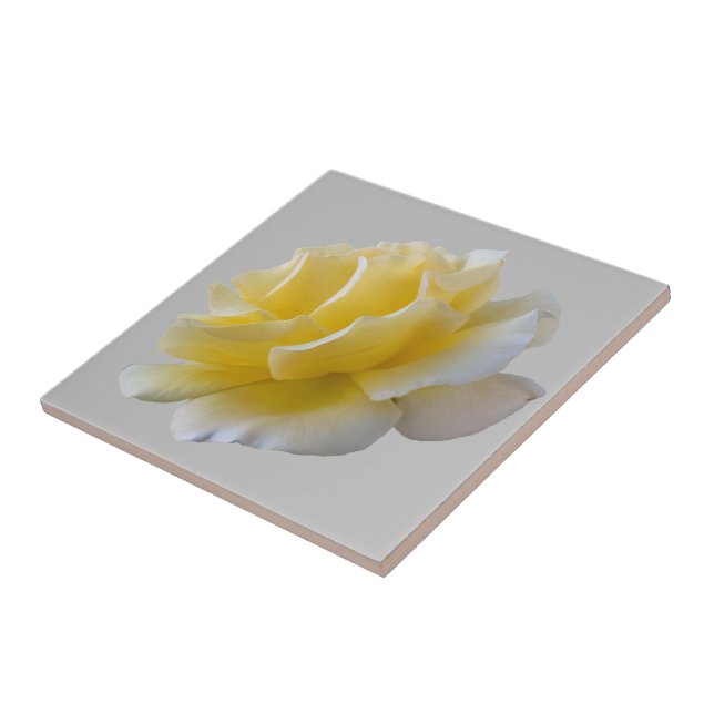 Yellow rose petals tile (Side)