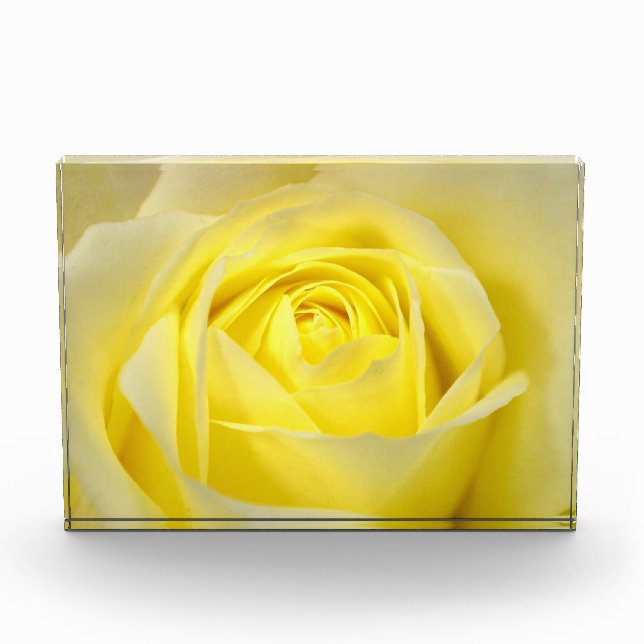 Yellow Rose Photo Block (Front)
