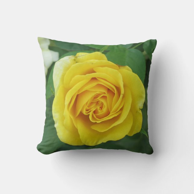 Yellow Rose Photo Pillow Nature Lovers Gardeners (Front)